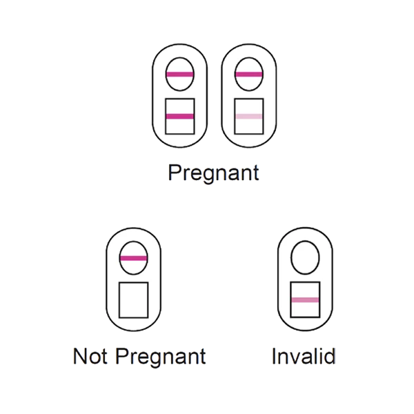 Pregnancy Test