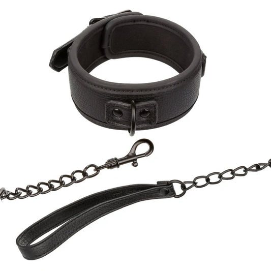 Collar & Leash