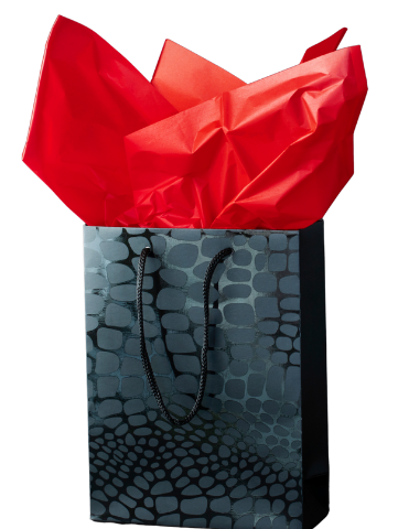 MYSTERY BAGS - FLASH SALE