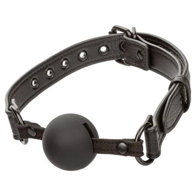 Ball Gag