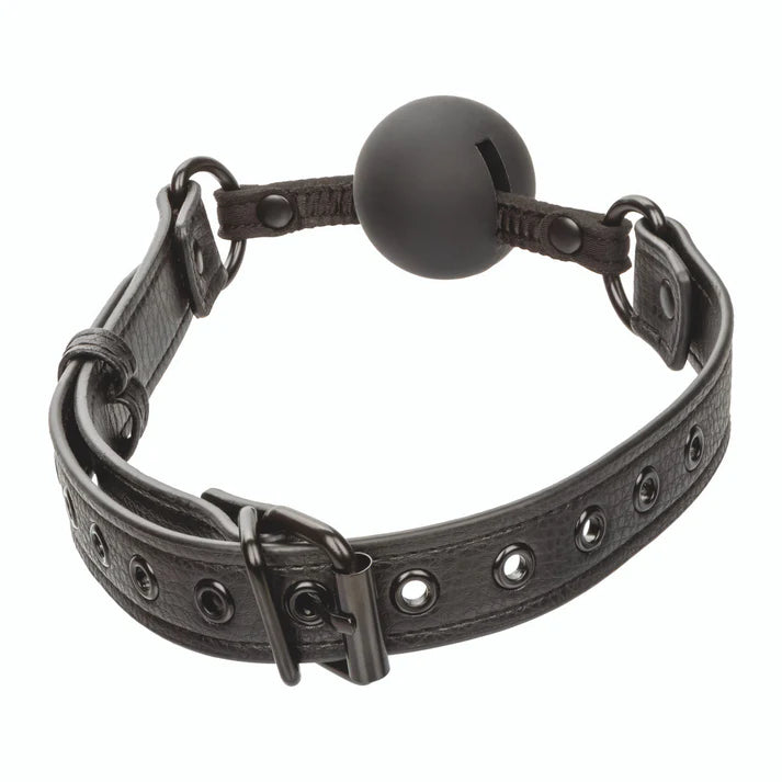 Ball Gag