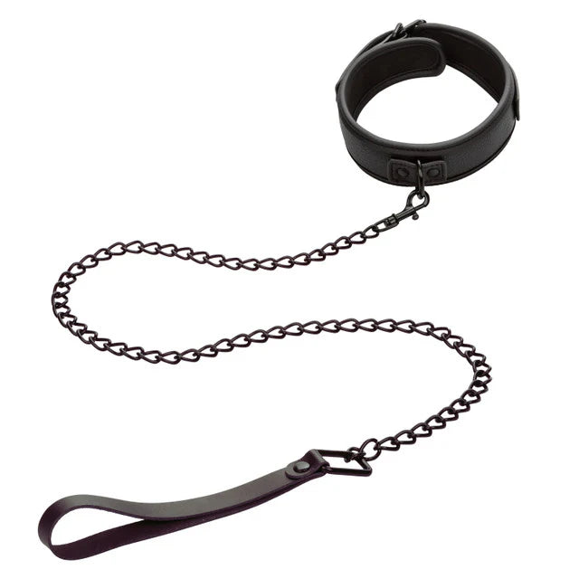 Collar & Leash