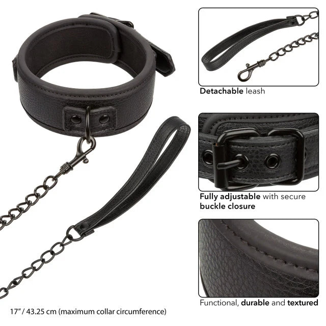 Collar & Leash