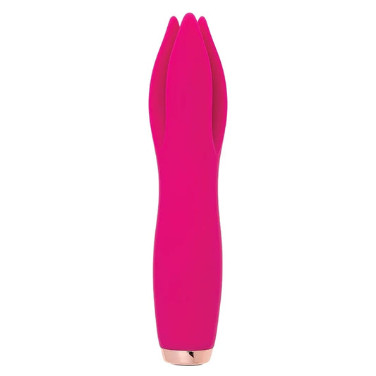 Tulip
