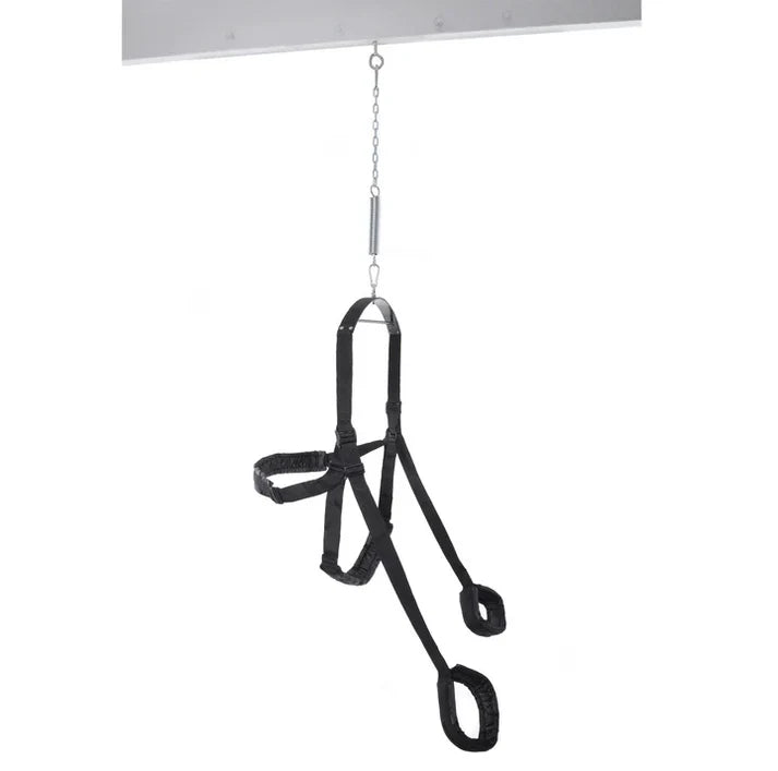 Fantasy Swing